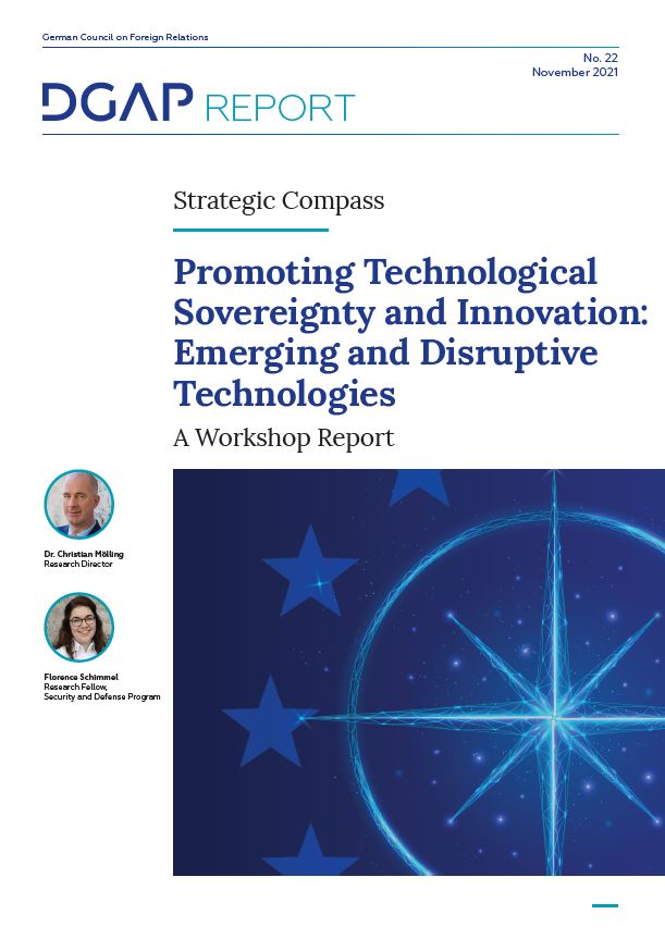 Screenshot of the cover page of the PDF version of DGAP Report No. 22