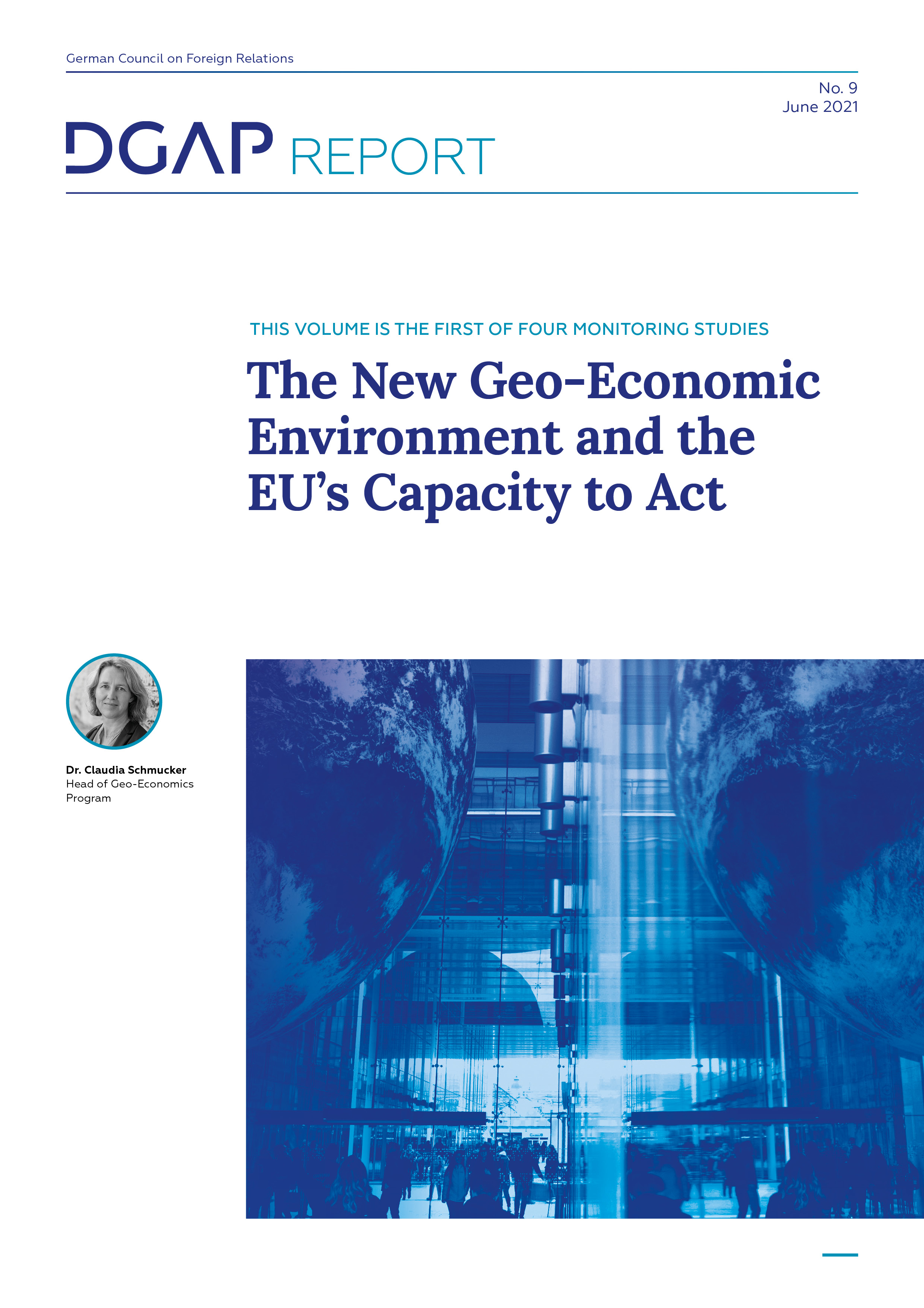 Screenshot of cover page of the PDF version of DGAP Report No. 9