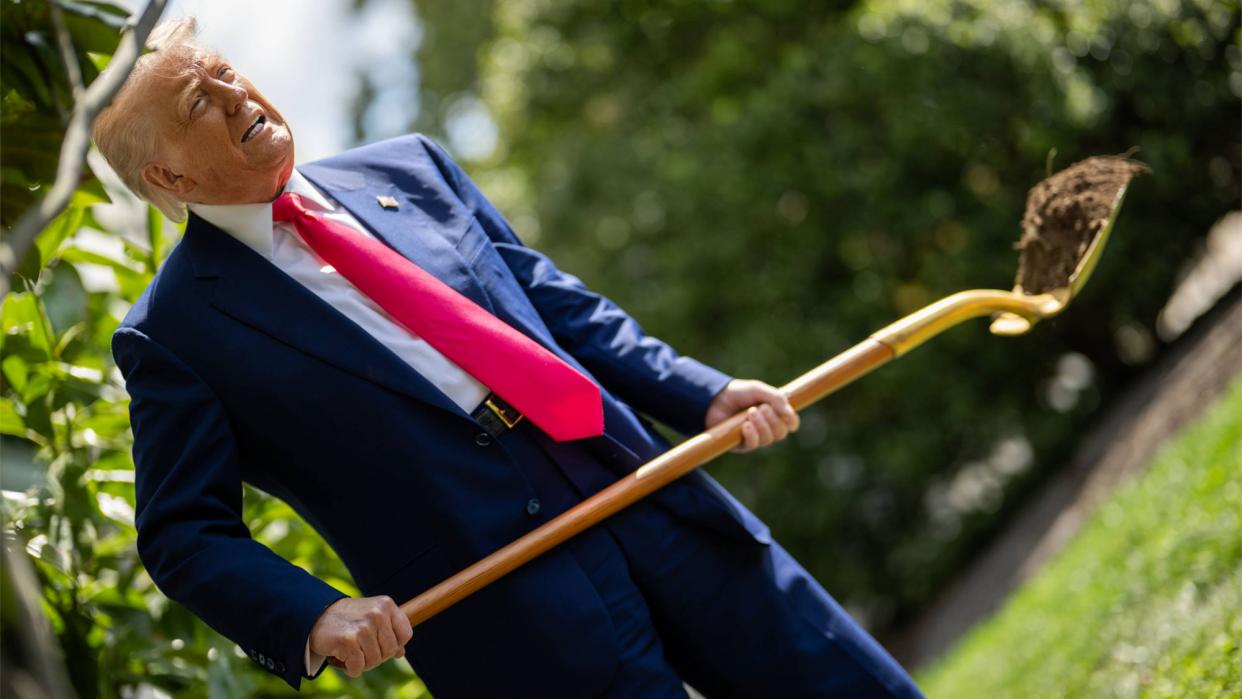 Donald Trump mit einer Schaufel Erde in der Hand