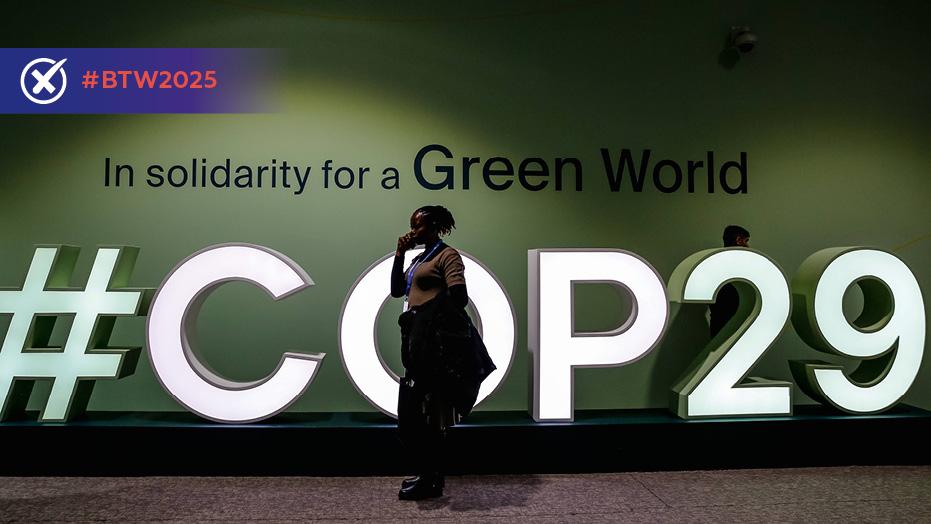 COP29