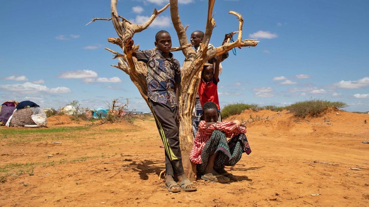 Image: Families, displaced by drought in the Somali region of Ethiopia, at a camp for internally displaced people near the town of Gode.