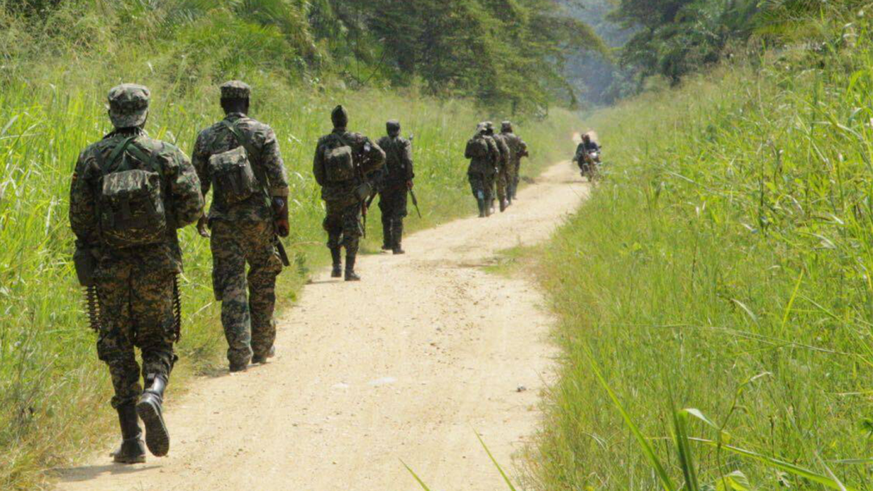 DRC Report – Teaser Picture