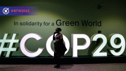 COP29