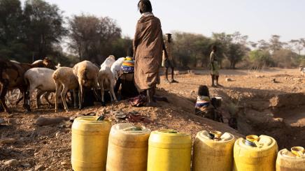 Climate Change in the MENA region