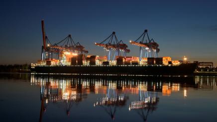 A container ship is seen at the loading terminal "Altenwerder" in the port of Hamburg, Germany, February 17, 2025.