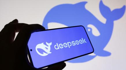 The Deepseek logo is seen in this illustration taken on January 29, 2025.