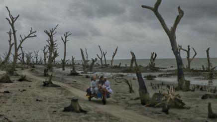Bild: Tote Bäume ragen aus einer von Unwettern zerstörten Landschaft in Bangladesch