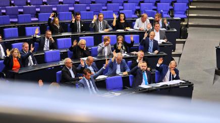 Abgeordnete der AfD heben die Hand bei einer Abstimmung
